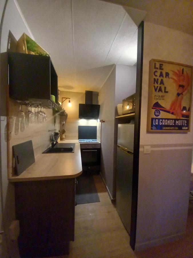 Rose Cote Mer Studio Et Garage, Entree Autonome Apartman La Grande-Motte Kültér fotó